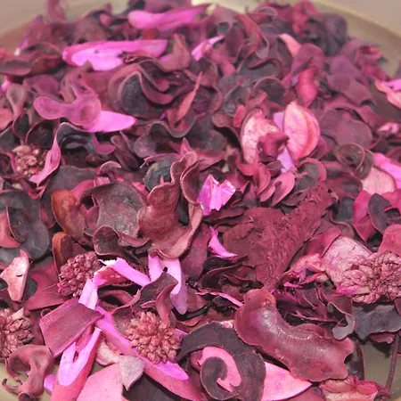 Chill Hill & Private Vandrarhem Ericeira