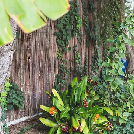 Vandrarhem Chill Hill & Private Ericeira